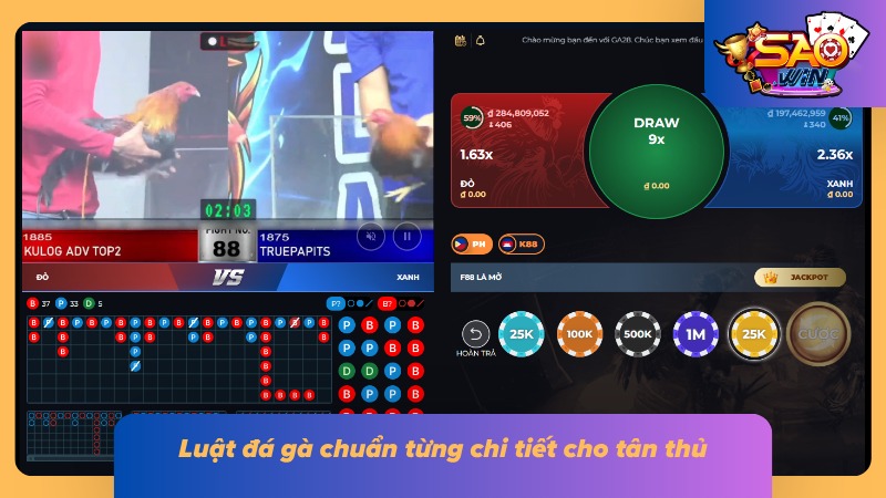 Đá Gà Cựa Dao SAOWIN - Chi Tiết Luật Cược Gà Đá Và Bí Kíp Bất Bại 3 Luật chơi chi tiết cho tân thủ từ A đến Z