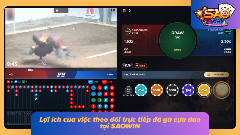 Đá Gà Cựa Dao SAOWIN - Chi Tiết Luật Cược Gà Đá Và Bí Kíp Bất Bại 6 Ưu điểm của việc theo dõi trực tiếp đá gà