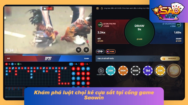 Đá Gà Cựa Sắt Saowin - Sảnh Cược Gà Đá Đẳng Cấp Châu Á 2 Luật chọi kê cực kỳ dễ hiểu cho newbie