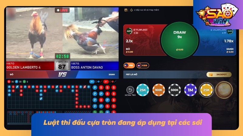 Các điều kiện phân định được thể hiện rõ trong từng tình huống trên sới