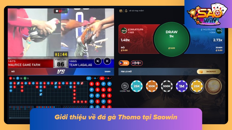 Đá Gà Thomo Saowin - Trận Chiến Đỉnh Cao Không Thể Bỏ Lỡ 1 Khái quát về loại hình giải trí hàng đầu tại Saowin