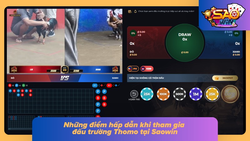 Đá Gà Thomo Saowin - Trận Chiến Đỉnh Cao Không Thể Bỏ Lỡ 2 Trực tiếp đá gà Saowin với chất lượng sắc nét