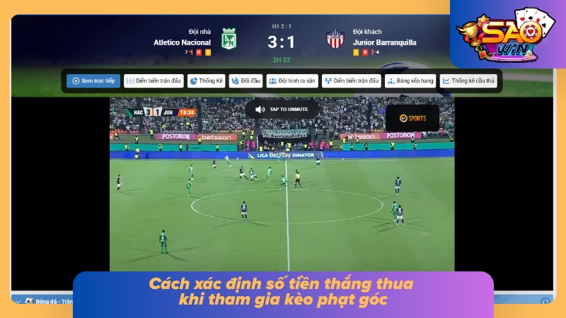 Cách tính tiền thưởng dựa trên tiền cược và tỷ lệ odds